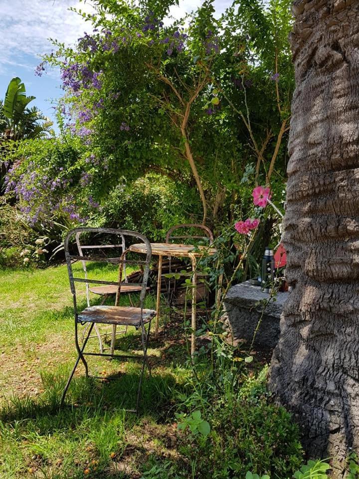 Hotel Puerto Las Palmas Πούντα ντελ Έστε Εξωτερικό φωτογραφία